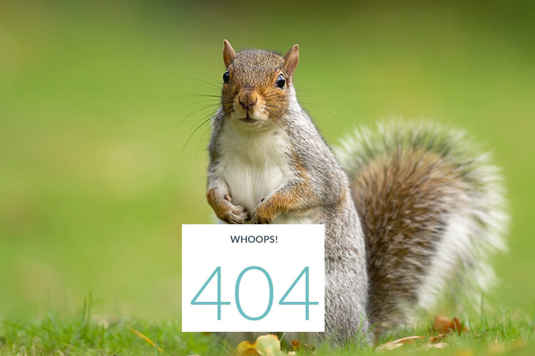 squirrl2